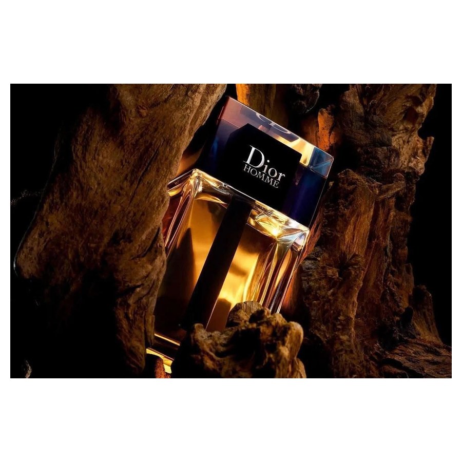 Dior Homme